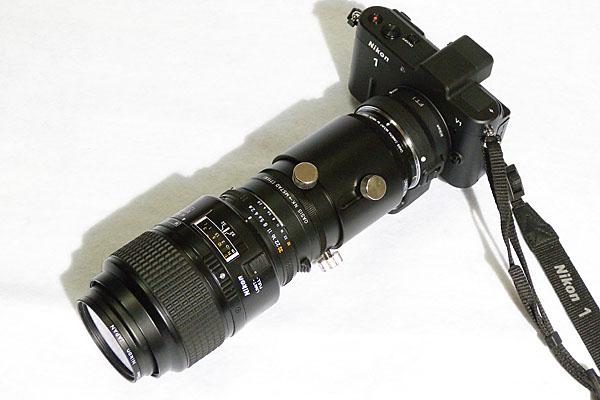 山内イグアナ研究所:Nikon 1 V1 FT1 使用レポート:試写:実写レビュー 